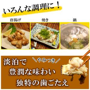 高知県 骨切りうつぼカット 300g 粉なし ...の詳細画像3