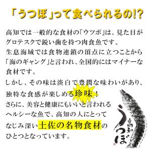 お試し 同梱に 高知 珍味 うつぼのたたき 1...の詳細画像4