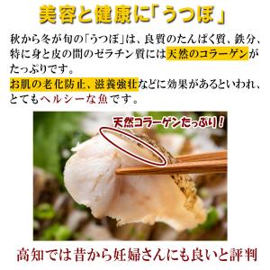 お試し 同梱に 高知 珍味 うつぼのたたき 1...の詳細画像5
