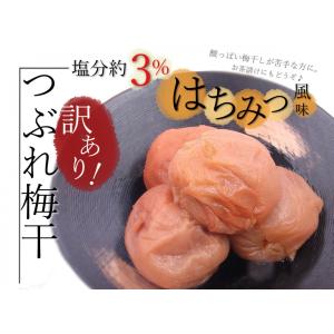 【訳あり】紀州産南高梅 はちみつ梅３％ 梅干 梅干し 味は最高級(当社比)のまま！皮が薄くて潰れた里一番（はちみつ入）つぶれ梅干し500ｇ｜小竹農園 ヤフー店