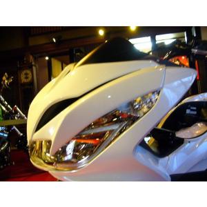 PCX(JF81KF30) デビルウイング : バイクカスタムパーツ コタニ PCX(JF81KF30) デビルウイング : バイクカスタムパーツ コタニ