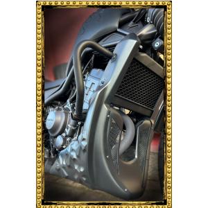 REBEL 250 CROMEタンクカバー レブルカスタム 純正色塗装済 : バイク