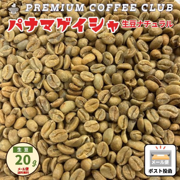 珈琲生豆 パナマゲイシャ 100% プレミアムレギュラー 20g おうちコーヒー メール便 1000...
