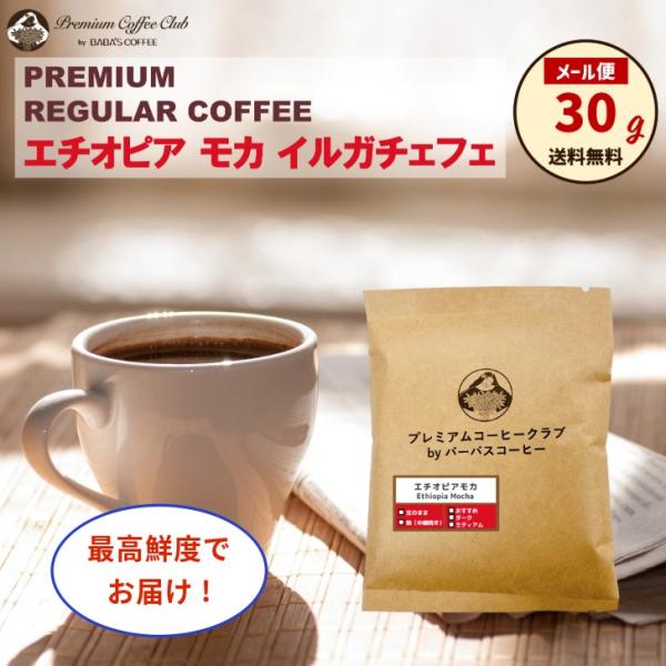 珈琲豆 焙煎豆 エチオピアモカ イルガチャフェ レギュラー 30g 自家焙煎 出来立て 焼きたて 最...