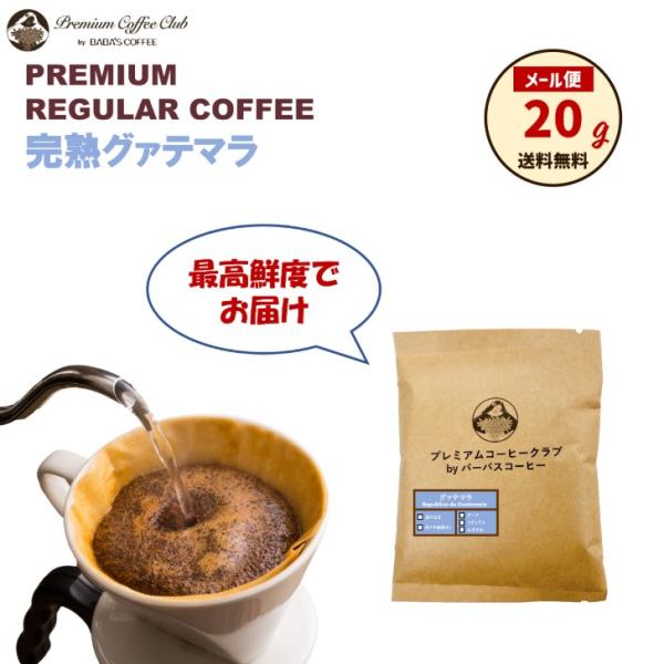 珈琲豆 焙煎豆 完熟グアテマラ 20g 自家焙煎 出来立て 焼きたて 最高鮮度でお届け お試し メー...