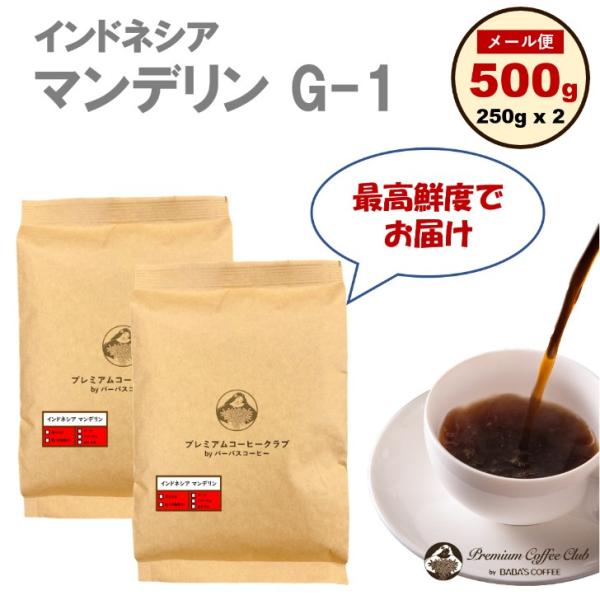 コーヒー豆 珈琲豆 インドネシア マンデリン G-1 100％ 500g (250g x 2 ) 自...