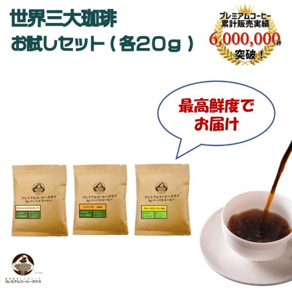 コーヒー豆 世界三大コーヒー（ブルマン20g ハワイコナ20g キリマン20g）飲み比べ お試しセッ...