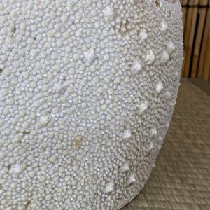 梅花皮胴台【2】 最高級60本竹胴台一品限り ...の詳細画像4