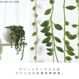 観葉植物 小さい 吊り下げ 鉢 おしゃれ 【S...の詳細画像4