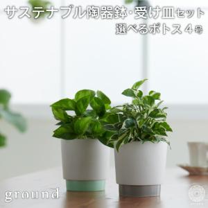 観葉植物 小さい ポトス エンジョイ グローバルグリーン 鉢 おしゃれ 土 棚 【ground】  サスティナブル陶器鉢  Mサイズ 北欧 引っ越し祝 新築祝 コテラ｜kotera