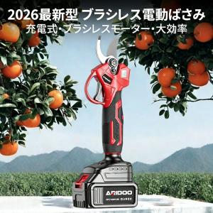 剪定ばさみ 高枝切り バサミ 電動 電池残量表...の詳細画像2