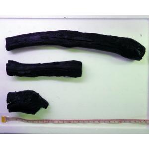 リベラ ウッドサージXL 流木 1個 ※アクぬき処理済み 約60〜80cm : 有限