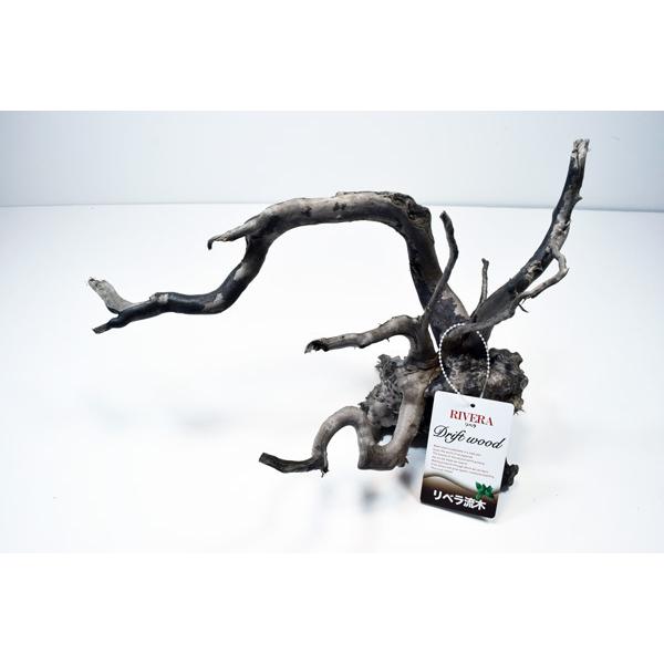枝流木　リベラ　ウッドルーツM　流木　1個　天然　デルフィス　アク抜き済み　レイアウト　アクアリウム...