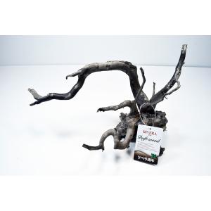 ソネケミファ スタンプウッドSS 流木 1個 ※形状指定不可 形は来てから