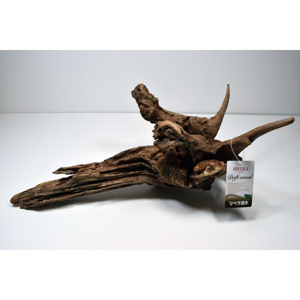 リベラ　ウッドサージXL　流木　1個　※アクぬき処理済み　約60〜80cm