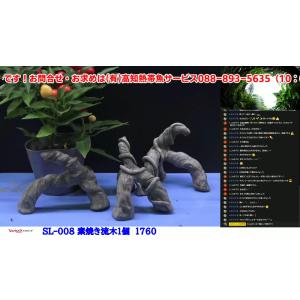 リベラ ウッドサージXL 流木 1個 ※アクぬき処理済み 約60〜80cm : 有限