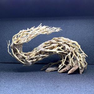 水景BONSAI　榕樹　 (がじゅまる）L 流木 縦25cm 横29cm KBO 水景BONSAI 榕樹(がじゅまる)L: カミハタ用品｜カミハタビジネス