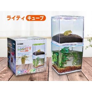 在庫処分　 ゼンスイ　LEDライト付クリスタルケース　ライティキューブ　ピンク　LIGHTY