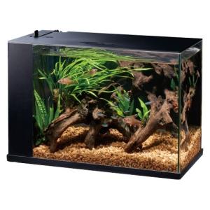 海水魚飼育セットの商品一覧 通販 Yahoo ショッピング