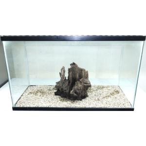 流木 スタンプウッドS ハーフウッド 1点物 SW0911-002 天然