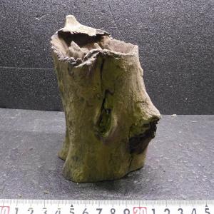 プレミアムスタンプウッド【PSW002】流木 アク抜き処理 アクアリウム プレミアムスタンプウッド【PSW004】流木 水槽 アクアリウム