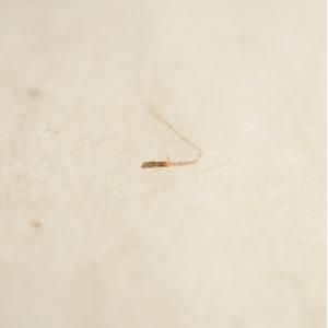 防災頭巾 星ブルー 国産 防災ずきん 日本製 ...の詳細画像4