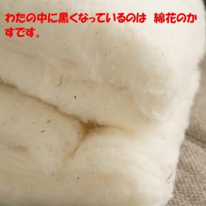 防災ずきん 新幹線 恐竜 ブルー コン 防災頭...の詳細画像4