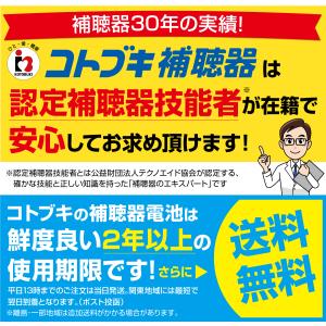 WIDEX ワイデックス 補聴器用空気電池 P...の詳細画像2