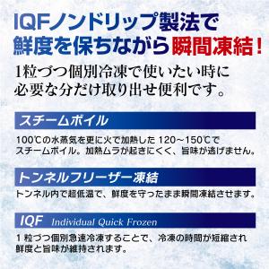 北海道産 スチーム帆立貝 ボイルほたて むき身...の詳細画像2