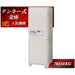 金庫 テンキー式 耐火金庫 LIFT-146BT EIKO エーコー ニンジャ