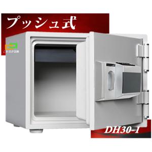 ダイヤセーフ CH30-1 金庫 小型 家庭用 カギ式 耐火金庫