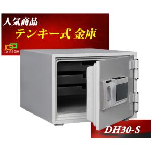 ダイヤセーフ（Diamond Safe） DW30-S ダイヤセーフ金庫 小型 家庭用