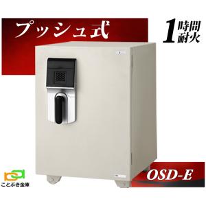 金庫 小型 家庭用 カギ式 耐火金庫 BES-2 エーコー EIKO 安い おしゃれ