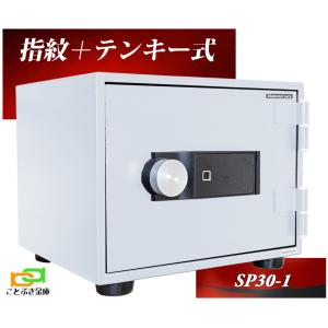 ダイヤセーフ CH30-1 金庫 小型 家庭用 カギ式 耐火金庫