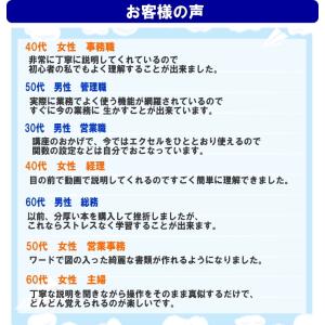 パソコン・エクセル・ワード教材DVD・動画でら...の詳細画像5