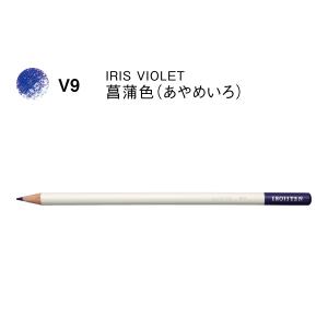 訳あり・本体色あせのため特価品】色鉛筆 色辞典 単色 VP1 桜色