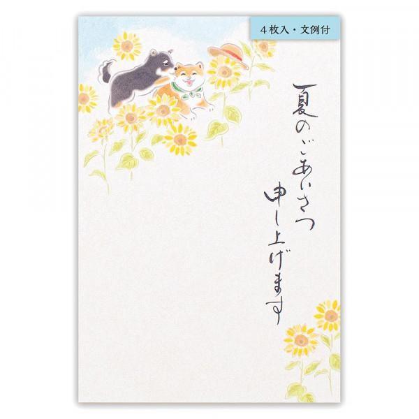 ポストカード　夏のご挨拶はがき　柴犬　4枚入　 5592809　絵葉書　エヌビー社