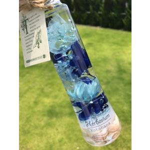 ハーバリウム マリンブルー イエロー ピンク 夏 海 貝殻 ハーバリウム healing インテリア 小 hz047