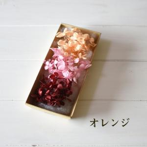 あじさい 小分け 4色 レインボー ハーバリウ...の詳細画像3