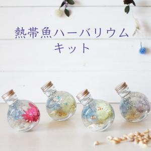 ハーバリウム キット 手作り 花材＋瓶＋オイル 熱帯魚