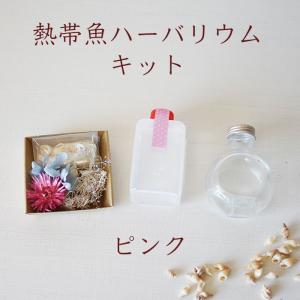 ハーバリウム キット 手作り 花材+瓶+オイル...の詳細画像1