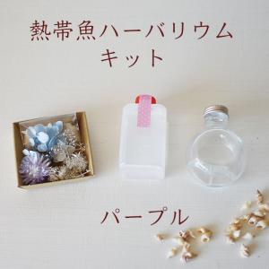 ハーバリウム キット 手作り 花材+瓶+オイル...の詳細画像2