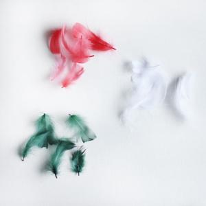 羽根 小分け 花 ハーバリウム プリザーブドフラワー サシェ 花材 hk099