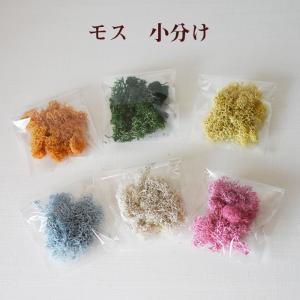 花 プリザーブドフラワー ハーバリウム 花材のみ モス 小分け クリスマス あじさい サシェ キット