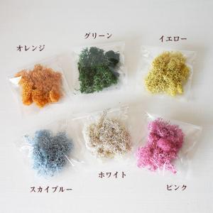 花 プリザーブドフラワー ハーバリウム 花材の...の詳細画像1