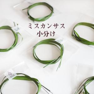 ミスカンサス 小分け 花 材料 アクセサリー ハーバリウム プリザーブドフラワー サシェ 花材 hk099