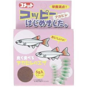 コメット コッピー はじめました 5g