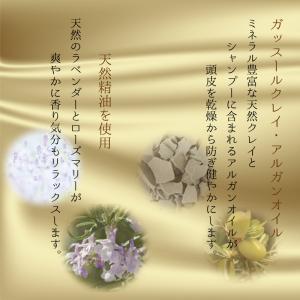 シャンプー アロマ 香り 保湿 ヘッドスパ ノ...の詳細画像2