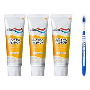 アクアフレッシュ ホワイト&プロテクト フレッシュグレープフルーツ医薬部外品歯磨き粉 虫歯予防 140g 3本 + 歯ブラシ セット 4個アソー