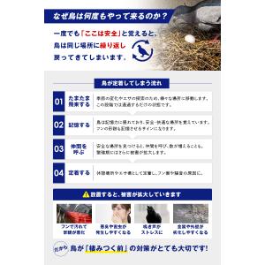 バードガード 300ml 害鳥対策スプレー ハ...の詳細画像3